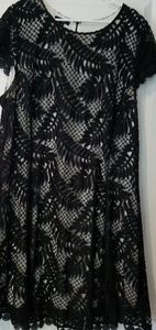 Black and White Lace Dress